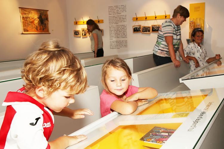 Museum van de Grote Ardennen