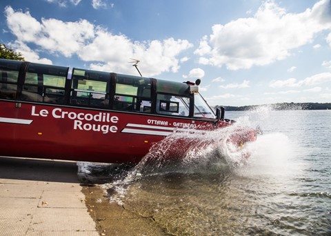 Crocodile Rouge