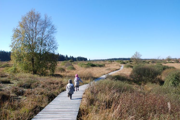 Nature Centre of Botrange
