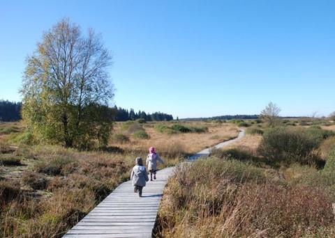 Natuurparkcentrum Botrange