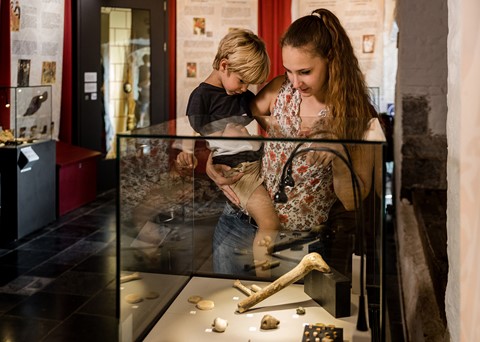 Logne Castle Museum