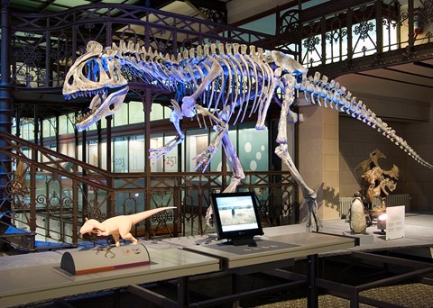 Institut für Naturwissenschaften